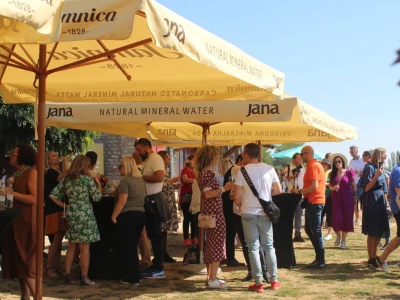 Wine & Bike Tour Erdut