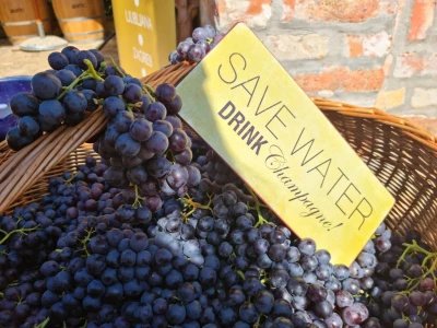 Wine & Bike Tour Erdut
