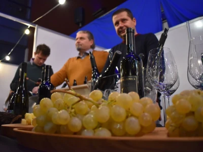 WineOS 2023.