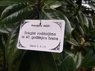 Za Božić usvoji