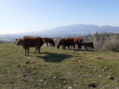 Zagrebačka županija