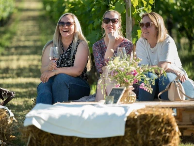 Zalazak sunca, vino i umjetnost: Brodski Stupnik ponovno okupio ljubitelje slavonskog vinogorja