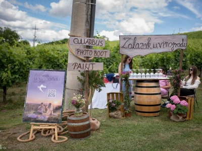Zalazak sunca, vino i umjetnost: Brodski Stupnik ponovno okupio ljubitelje slavonskog vinogorja