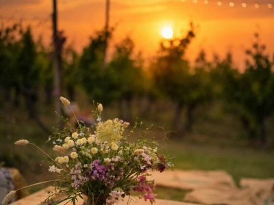 Zalazak sunca, vino i umjetnost: Brodski Stupnik ponovno okupio ljubitelje slavonskog vinogorja