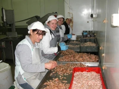 Zaposlenice u pogonu za preradu ribe Felicita Konjsko