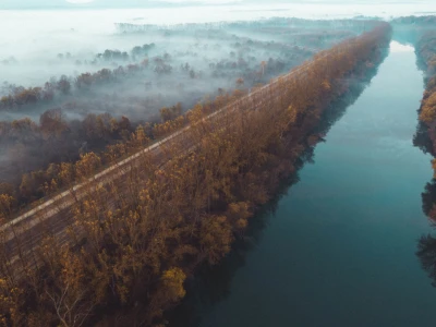 Zaposlenici tvrtke RWA Hrvatska i ICL-a posadili hektar šume