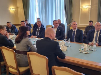 Zarazne bolesti