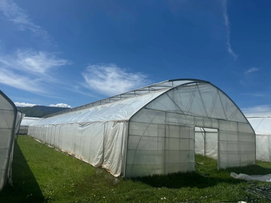 plastenik