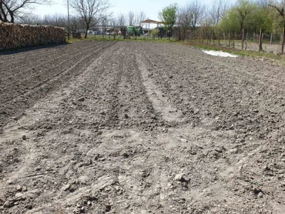 Zbog velike suše, zbrajat ćemo štete i u ratarstvu?