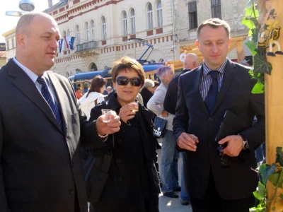 Zdravica