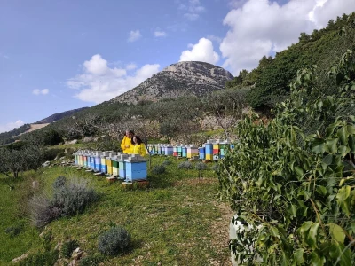 Zdravlje sa otoka Brača