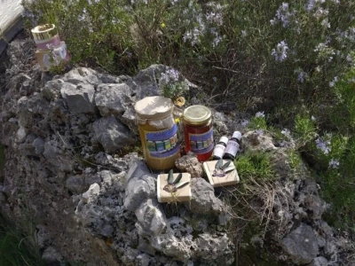Zdravlje sa otoka Brača
