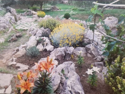 Zdravlje u Kamenu