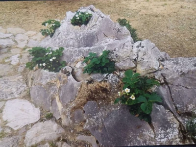 Zdravlje u Kamenu