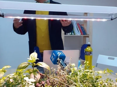 Zeleni inkubator