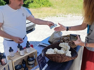 Zeleni Kastav slavi deset godina održavanja