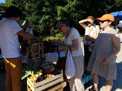 Zeleni Kastav slavi deset godina održavanja