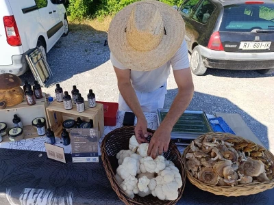 Zeleni Kastav slavi deset godina održavanja
