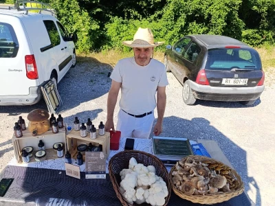 Zeleni Kastav slavi deset godina održavanja