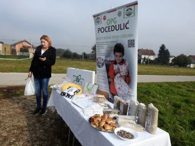 Žetva heljde na OPG-u Pocedulić u Kučanu Gornjem kraj Varaždina
