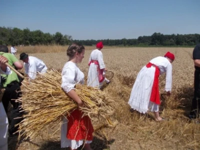 Žetva u prošlosti