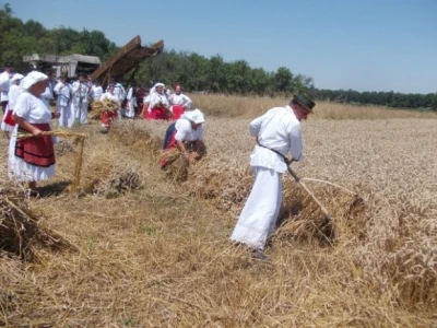 Žetva u prošlosti