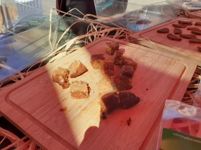 ZgGeVege festival održivog življenja