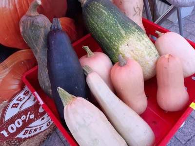ZgGeVege festival održivog življenja