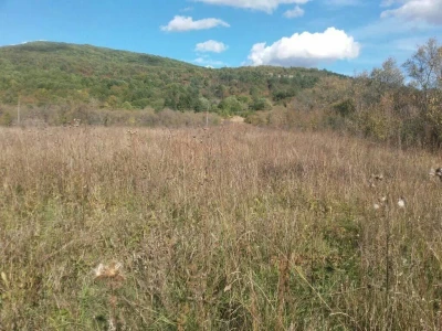 Žitelji Gacke Doline