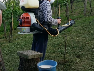 ZLATKO OŽBOLT