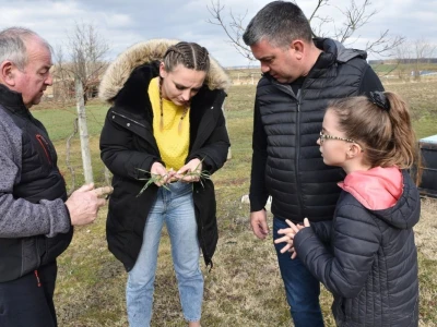 Zoran Piskač