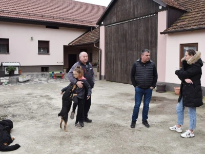 Zoran Piskač