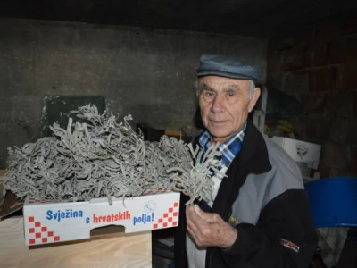 Marijan Zrilić