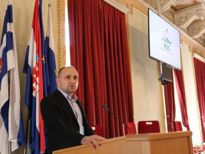 Župan Anušić
