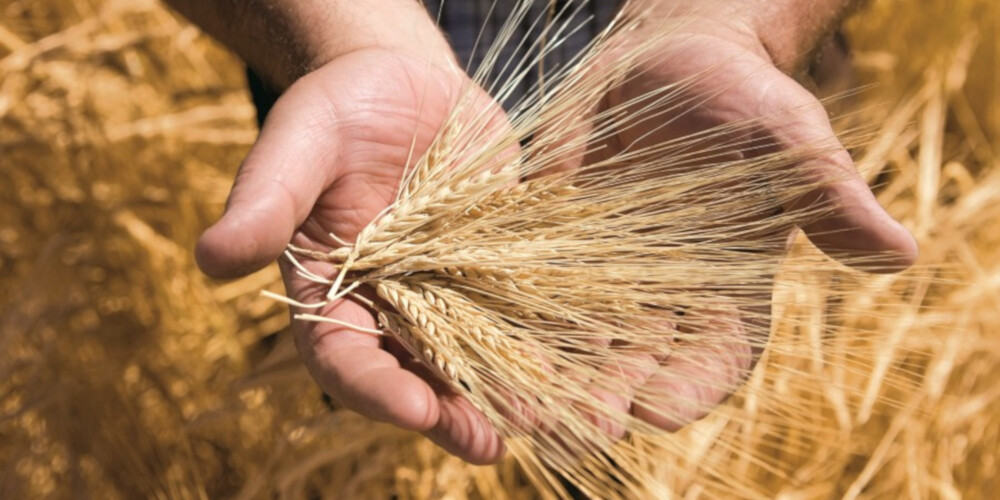 Syngenta Agro d.o.o.
