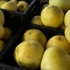 Pomelo