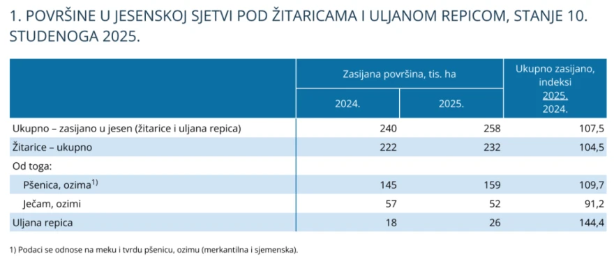 dzs tablica