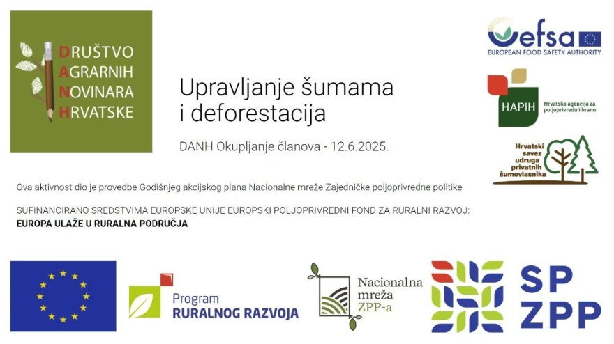 Vizual eventa