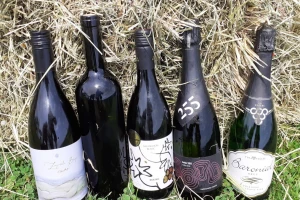 Pjenušavi zagorski doručak u vinogradu - promocija vinarija, ali i odgovor na koronakrizu