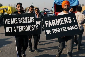 Rekordna žetva: Indijske farmere nije spriječio ni Covid ni prosvjedi