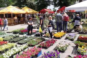 Otvoren Floraart: Izlagača manje, ali proizvođači i ljubitelji cvijeća napokon su došli na svoje