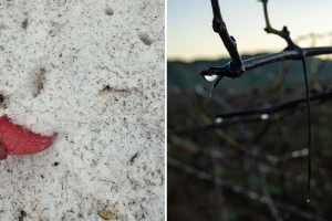 Tuča kakva se ne pamti poharala dijelove Zabiokovlja i Zamosorja