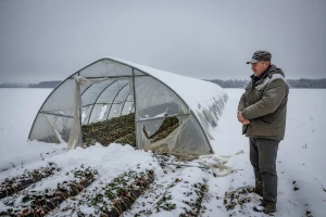 200 poljoprivrednika iz Vrgorca prijavilo štetu od sniježnog nevremena