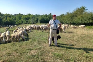 Slavko Vukomanović: Stočari hitno trebaju pomoć oko izgradnje mini klaonica