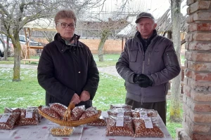 S lješnjacima dočekali mirovinu: Od više nasada i većih površina može se lijepo živjeti
