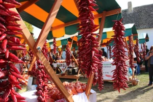 Ne propustite 15. Paprika fest u Lugu