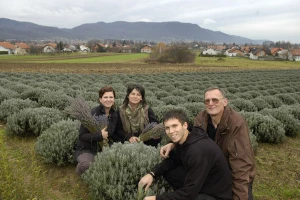 Zagorska lavanda za jadransku obalu