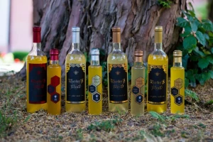 Medovina: Samo med, kvasac i voda