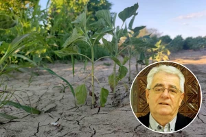 Suša se nastavlja - zalihe vode su sve manje!