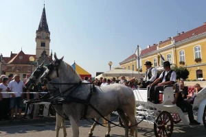 Vozočašće u Mariji Bistrici